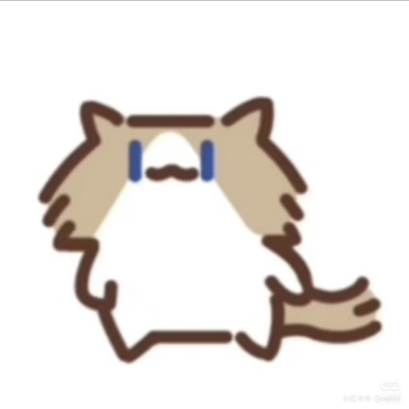 月薪喵